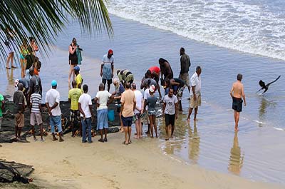 Examining the catch 