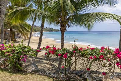 View of Grange Beach from Black Rock Dreams